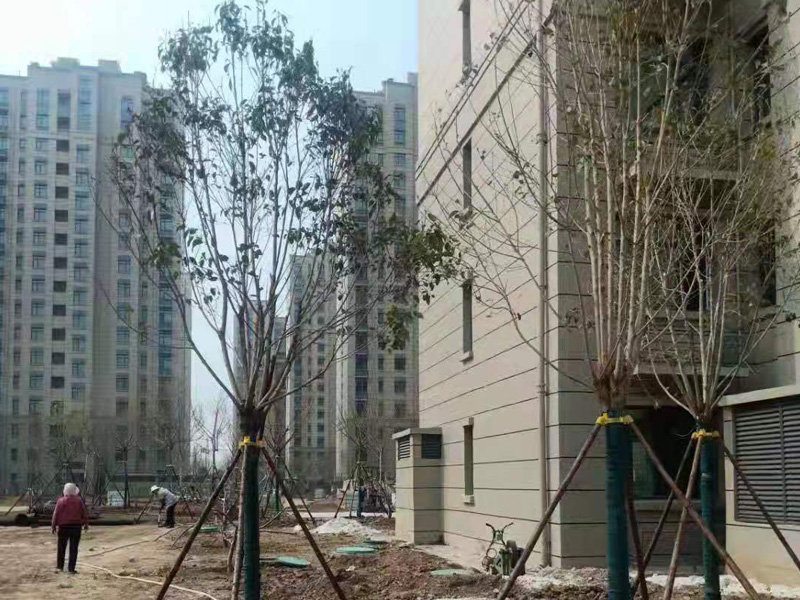 營(yíng)龍片區(qū)